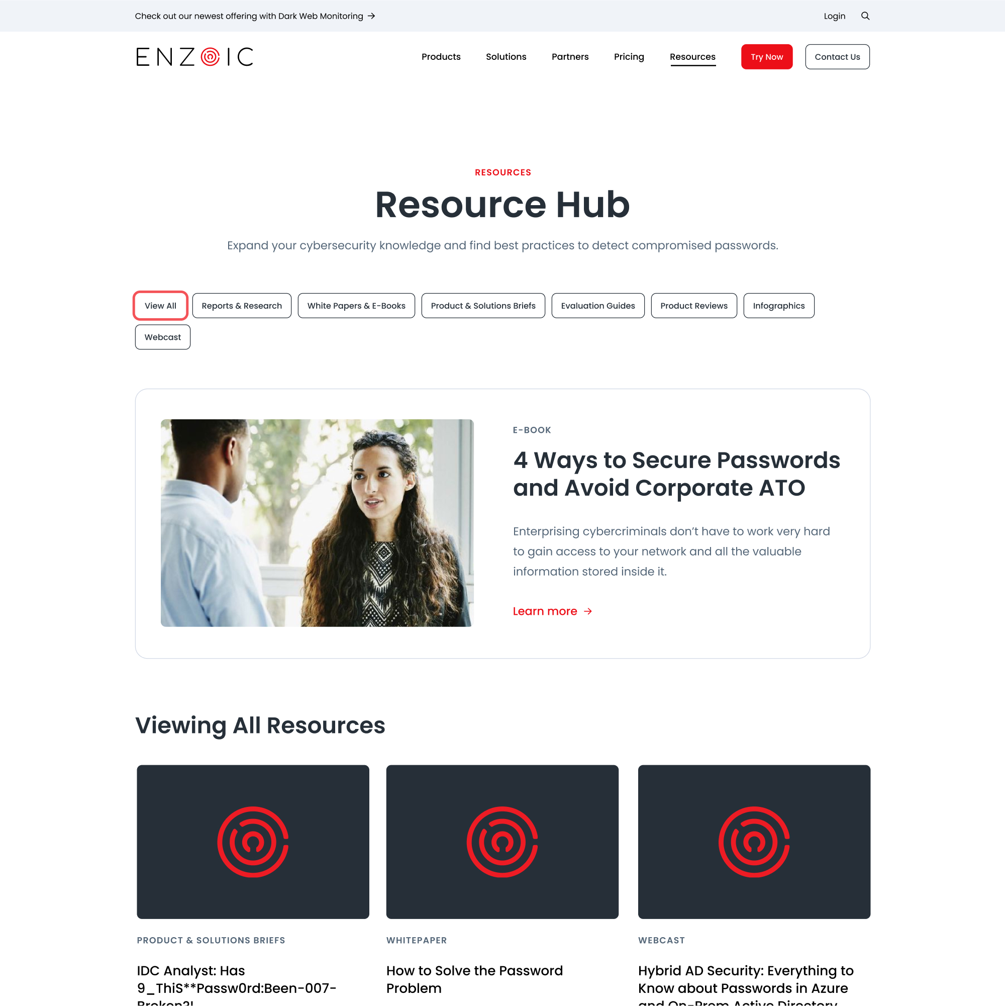 Enzoic Website designs