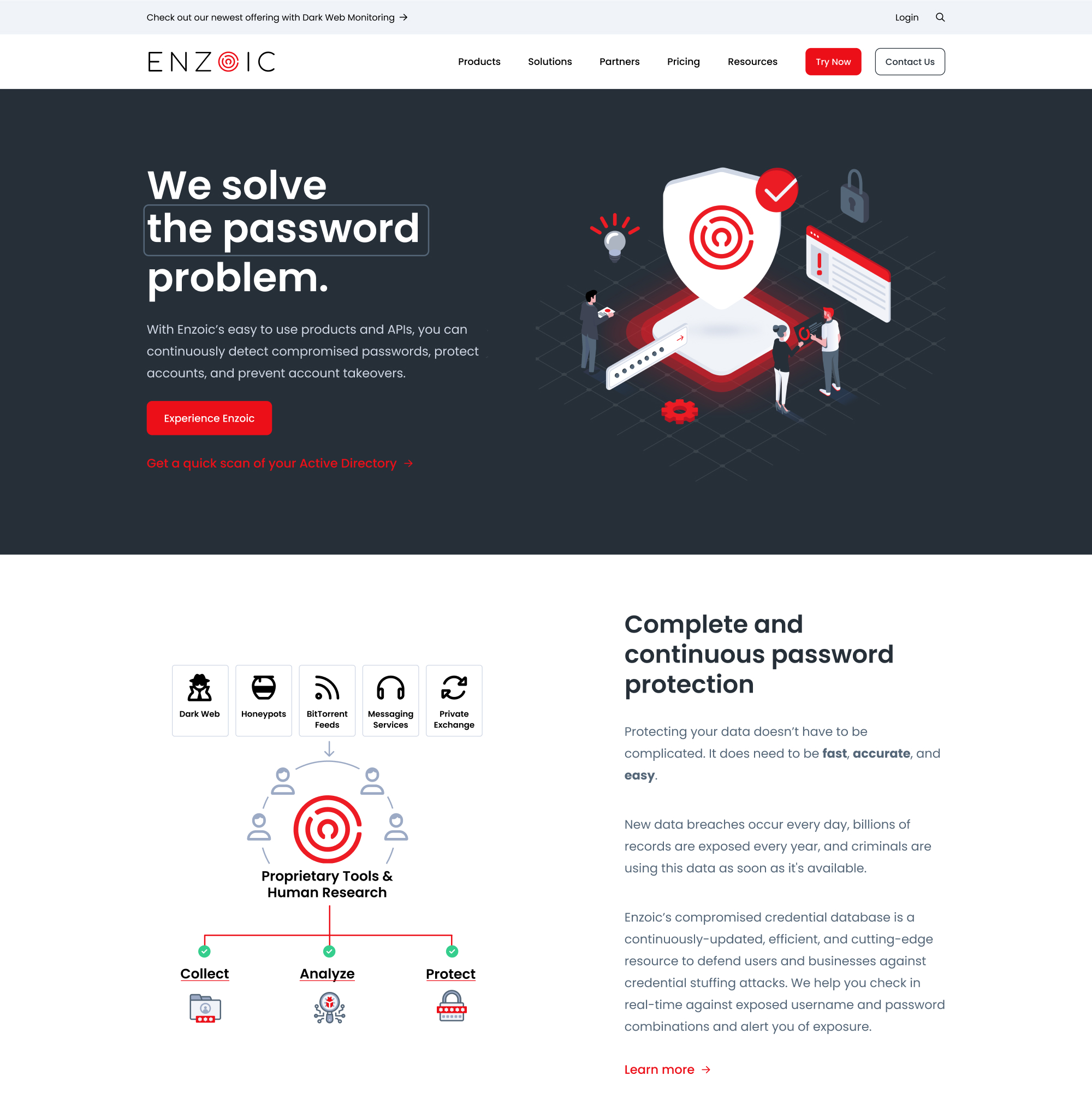 Enzoic Website designs